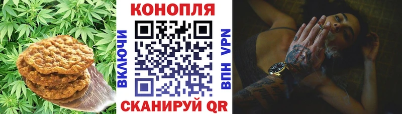 кракен сайт цена наркотик Ветлуга Еда ТГК марихуана