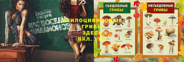 скорость Протвино