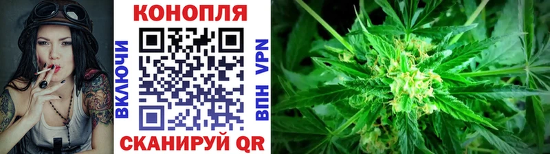 сколько стоит Ветлуга МАРИХУАНА семена